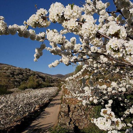 Casa Rural Arbequina, Refugio De Primavera Casas del Monte 外观 照片