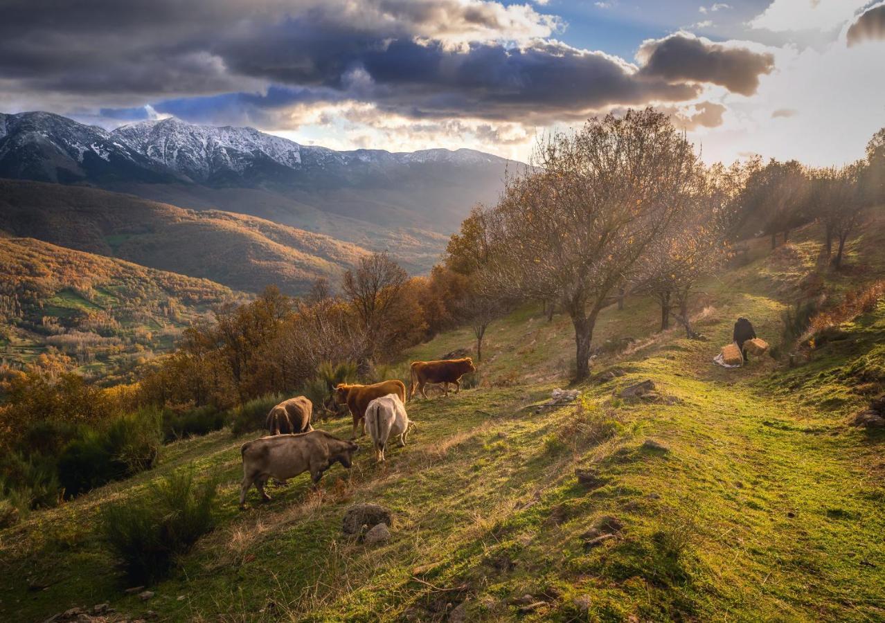 Casa Rural Arbequina, Refugio De Primavera Casas del Monte 外观 照片