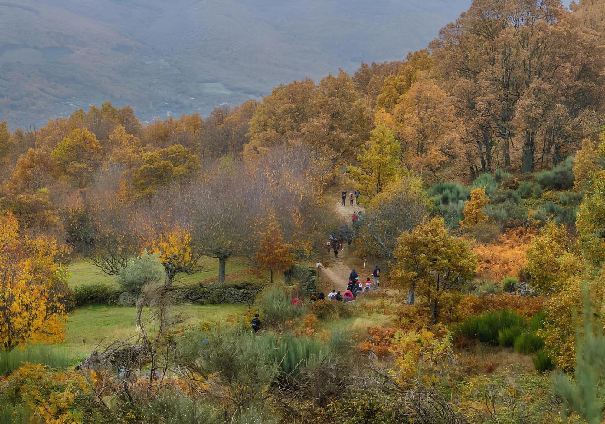 Casa Rural Arbequina, Refugio De Primavera Casas del Monte 外观 照片